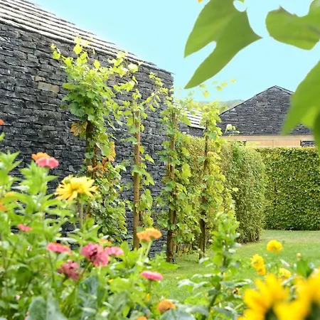 Hotel Weinkulturgut Longen-schloeder