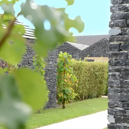 Отель Weinkulturgut Longen-schloeder