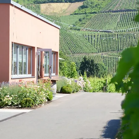 Weinkulturgut Longen-schloeder *