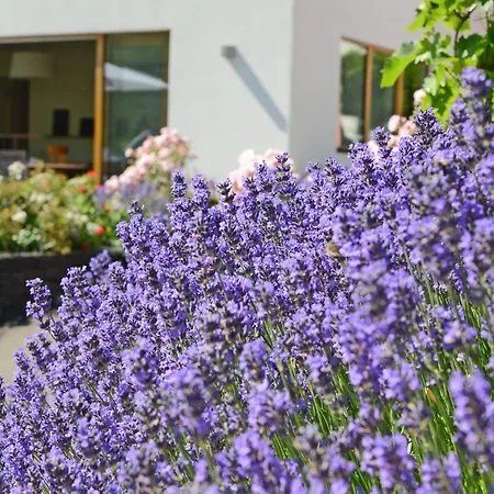 Weinkulturgut Longen-schloeder Отель Longuich