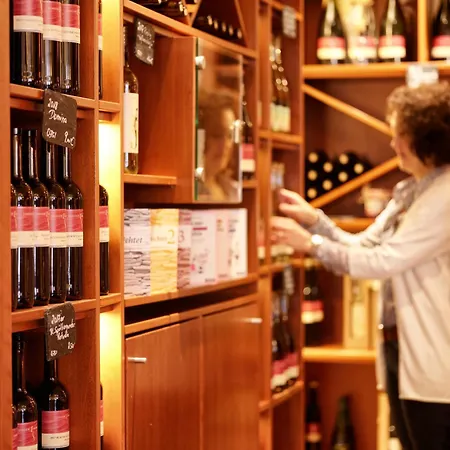 Weinkulturgut Longen-schloeder Отель *