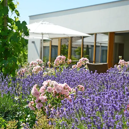 Weinkulturgut Longen-schloeder *