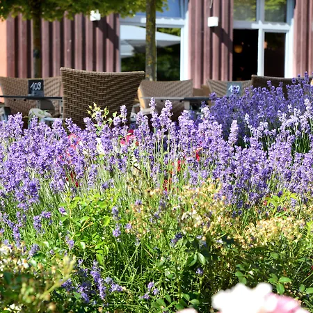 Weinkulturgut Longen-schloeder * Longuich