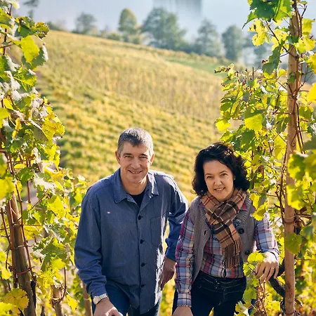 Weinkulturgut Longen-schloeder *