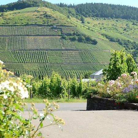 Weinkulturgut Longen-schloeder Отель