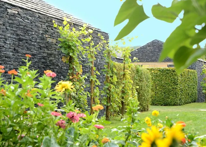 Hotel Weinkulturgut Longen-schloeder