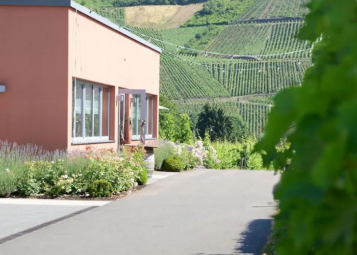 Weinkulturgut Longen-schloeder *