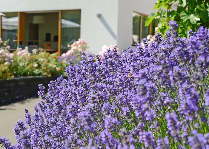 Weinkulturgut Longen-schloeder Hotel Longuich