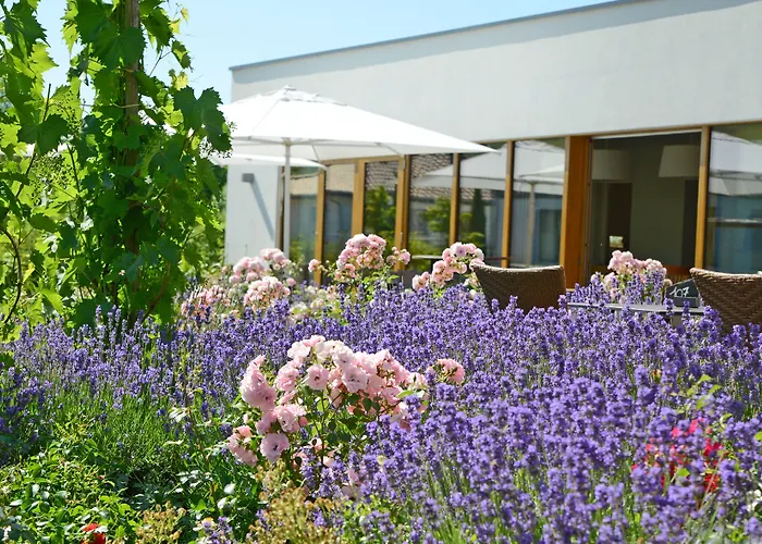 Weinkulturgut Longen-schloeder *