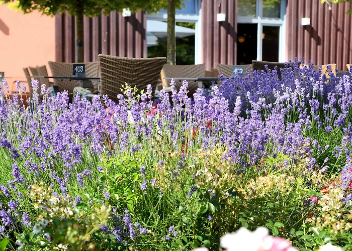 Weinkulturgut Longen-schloeder * Longuich