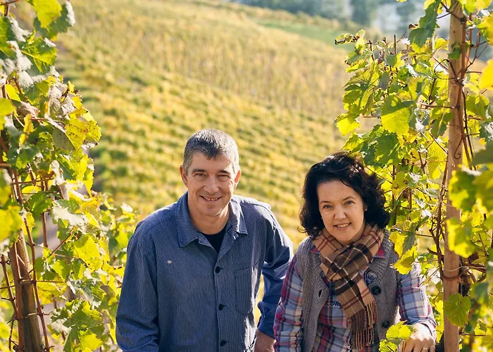 Weinkulturgut Longen-schloeder *