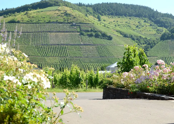 Weinkulturgut Longen-schloeder Hotel